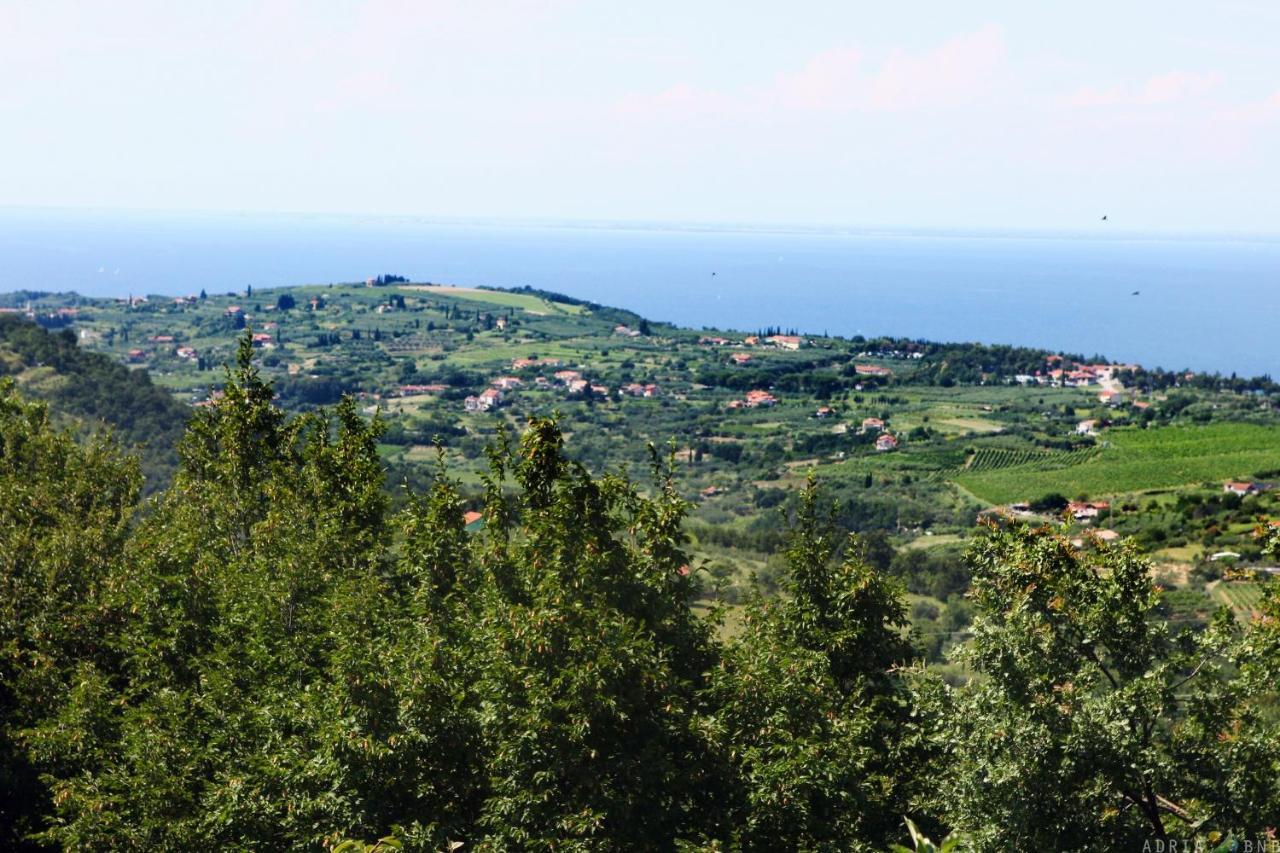 Garden Ville Izola MIRA Esterno foto